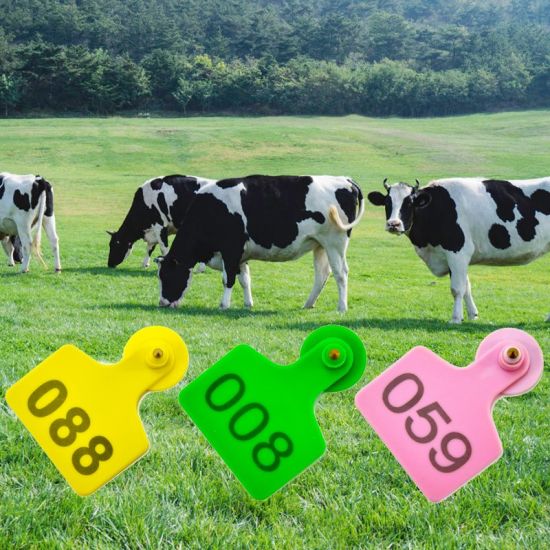 ear tag engraving machine news Abedar Laser